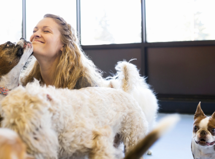 How To Tell If Your Dog Is Enjoying Doggy Daycare